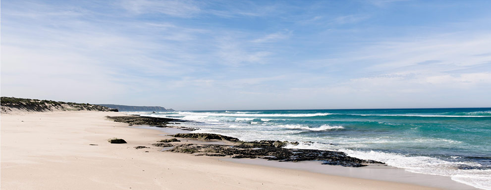 Discover Our Seasonal Inspiration Tips