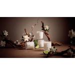 What's Your Signature Scent? Meet Our New Candles