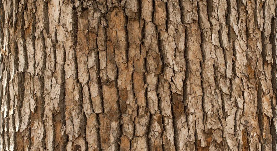 Our Considered Fibre Series: TENCEL™ Lyocell