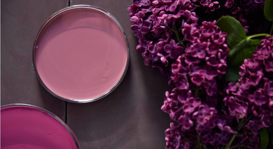 Styling a palette of rich plum with Home Beautiful magazine