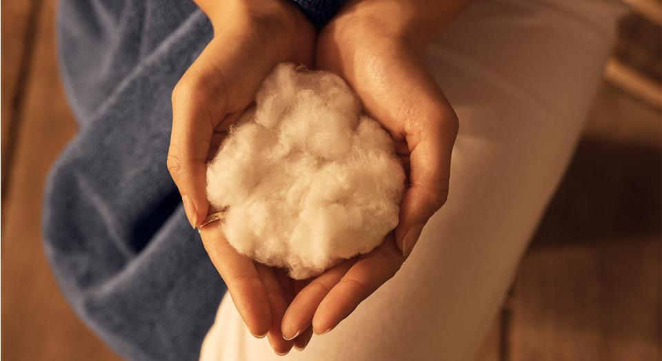 Two hands cupped together holding a bundle of raw cotton fibres