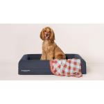 An English Cocker Spaniel sitting in a Sheridan pet bed