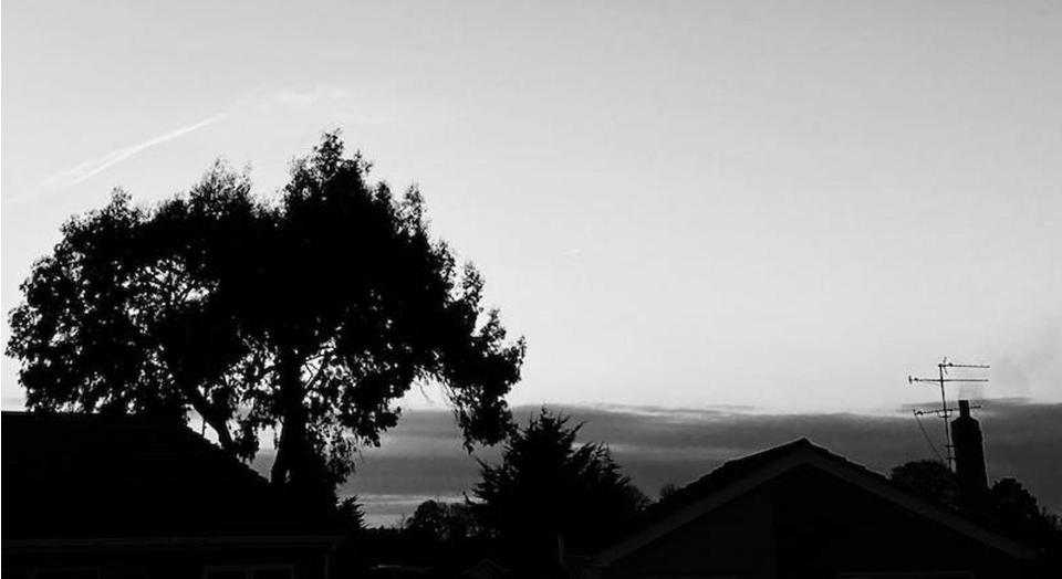 black and white landscape image of neighbourhood. tops of houses are visible, as is large tree, powerlines. clouds on horizon in distance.