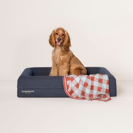 Luna is a cocker spaniel small dog breed. This is the breed recommended for the size of beds we offer.