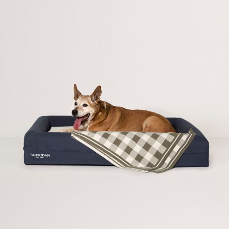 Scout Pet Blanket