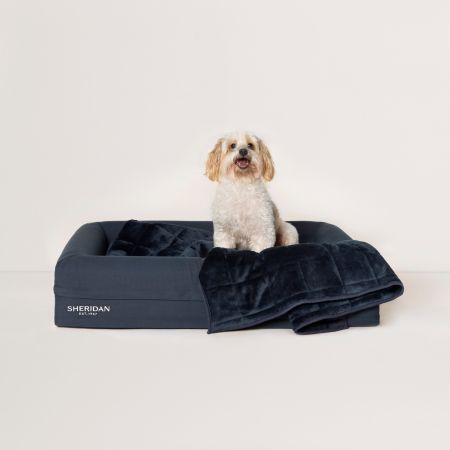 Poppet Pet Blanket