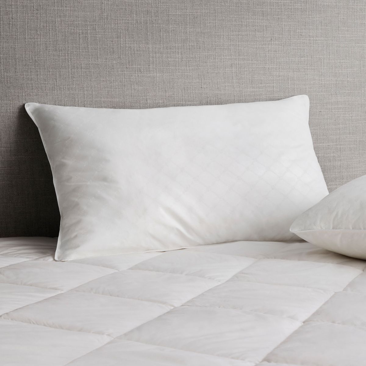 Shop The Ultimate Luxury Pillows White Sheridan Australia