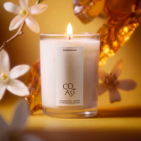 Coast Candle - Champagne, Amber & Orange Blossom