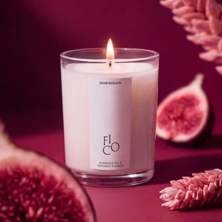 Fico Candle - Alfresco Fig & Coconut Flower