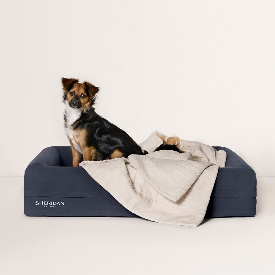 A mixed breed dog sitting in a Sheridan pet bed with an Abbotson Linen pet blanket