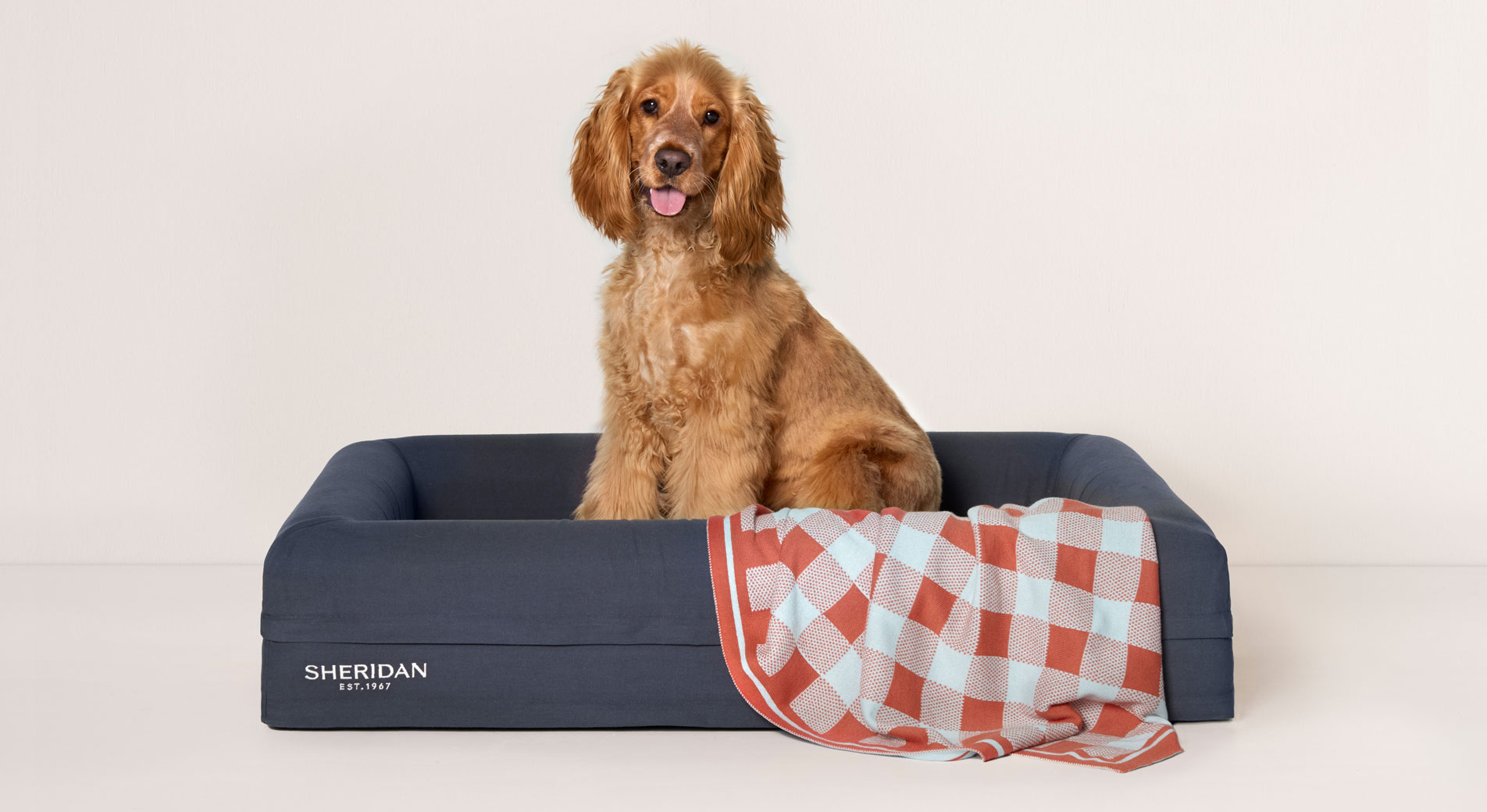 An English Cocker Spaniel sitting in a Sheridan pet bed
