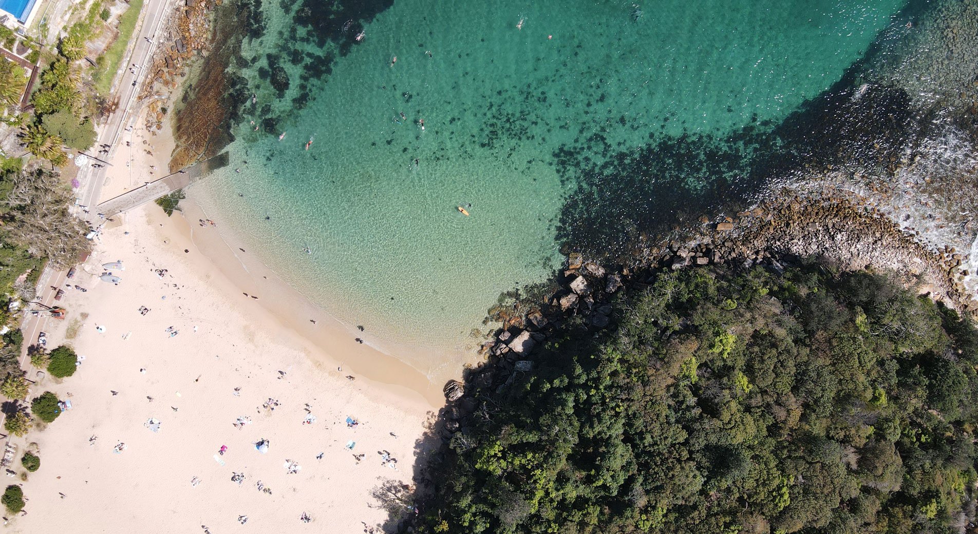 drone shot of shelly beach. bottom half of image has sand with beach goers laying on sand scattered across, as well as headland with bush. top half has clear blue water where you can see people swimming and rocks underneath.