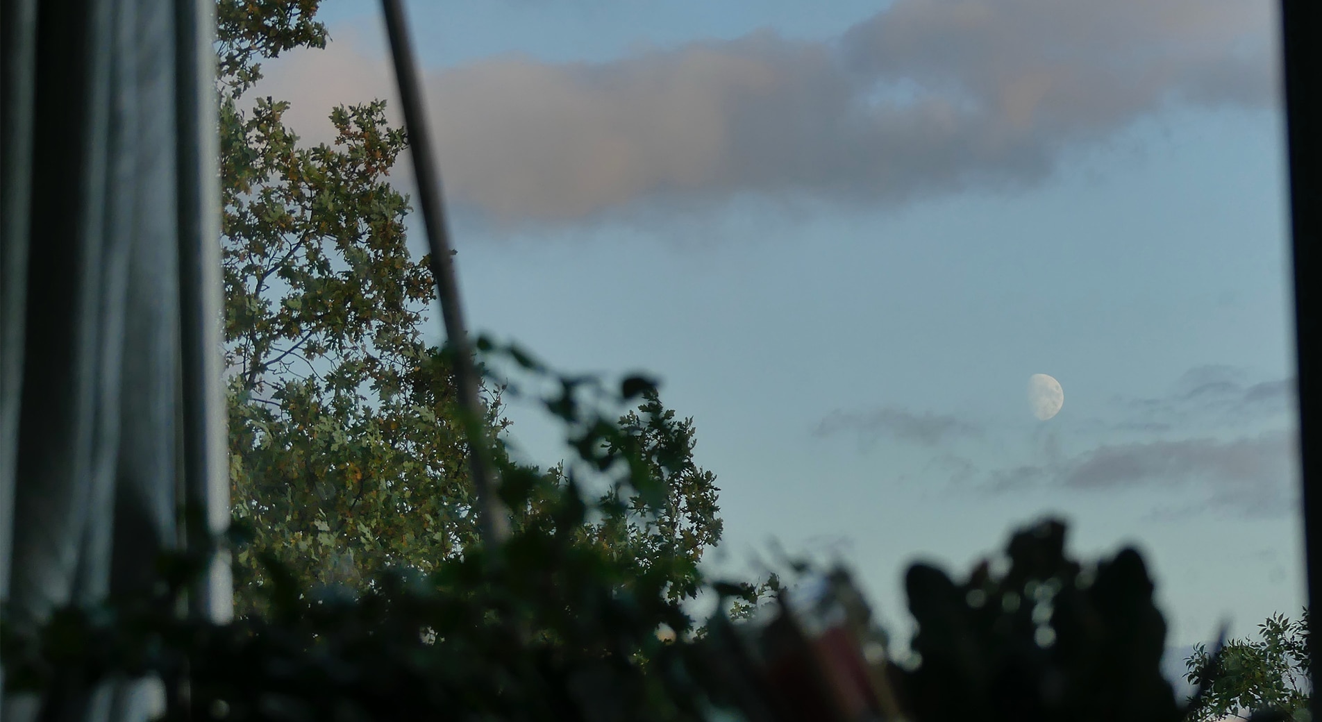 10 tips for better sleep. image shot inside of bedroom, looking outside window. there are plants in the foreground, and a tree in the background outside. you can see the moon against blue sky and sparse grey clouds.