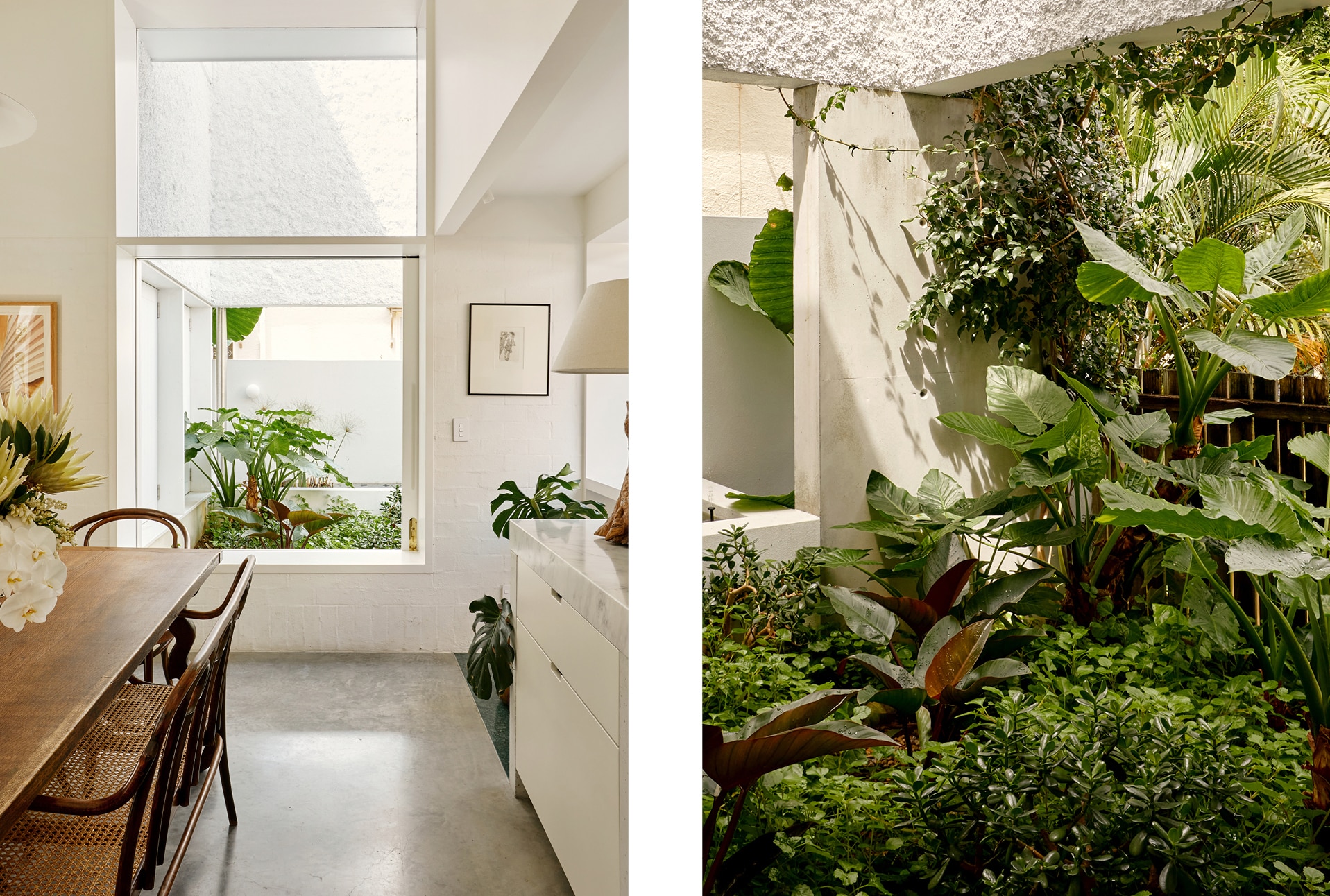 split image. left side a shot down the kitchen, wooden dining table to left, white cabinets on right. out the window you can see the garden. right side: a shot within the garden, overflowing with leafy green bushes and plants.