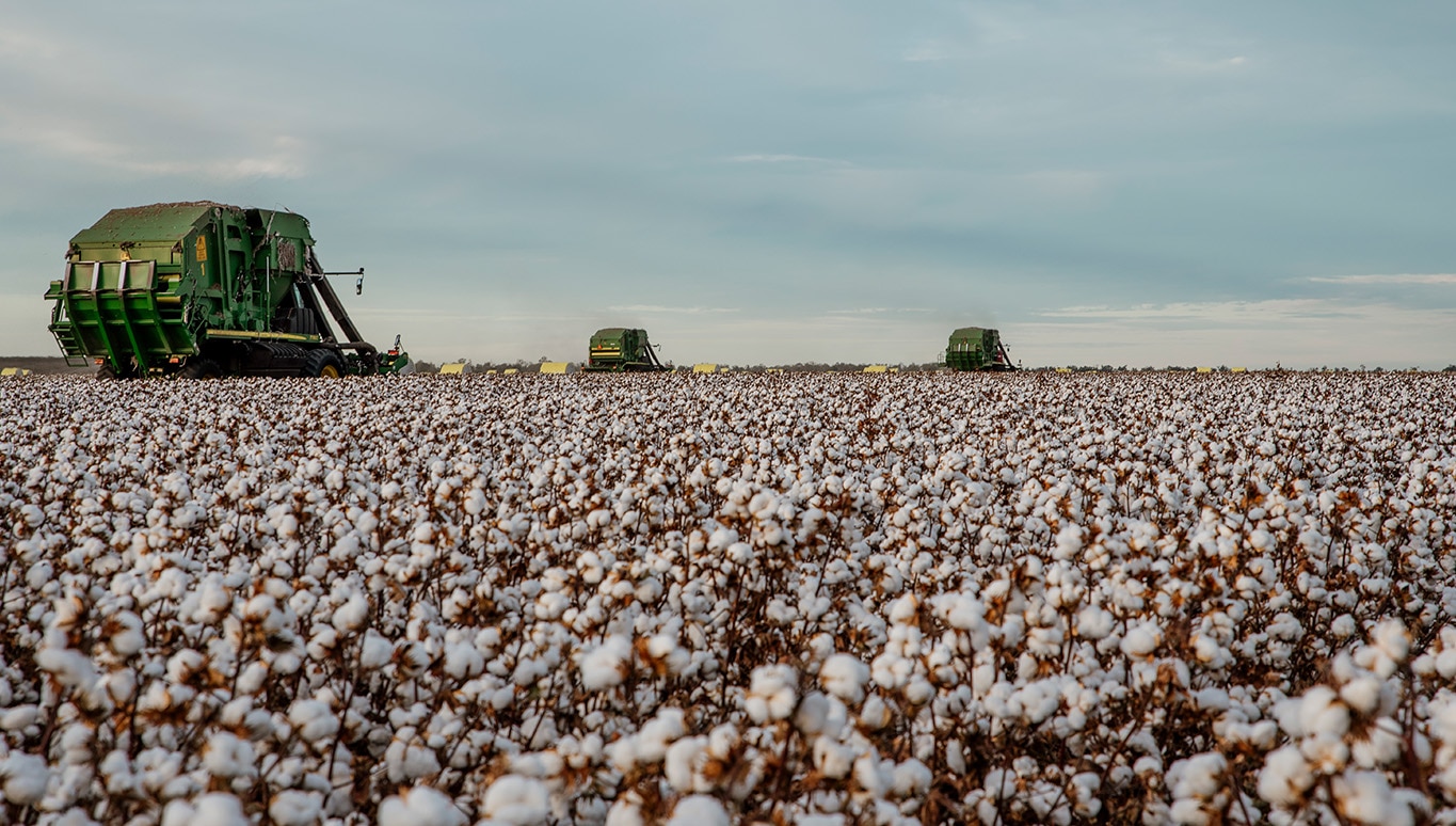 Goondiwindi circular cotton project Sheridan