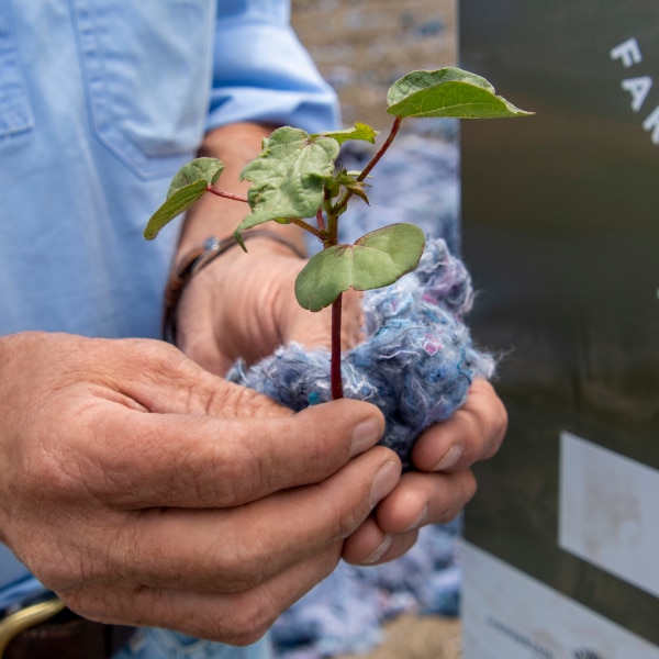 Goondiwindi Circular Cotton Project