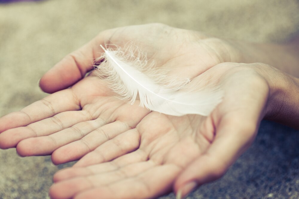 Feather & Down supply chain